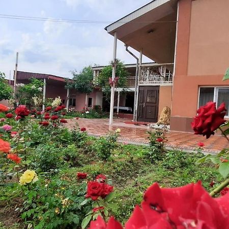 Vip Hostel Turkistan Exteriör bild