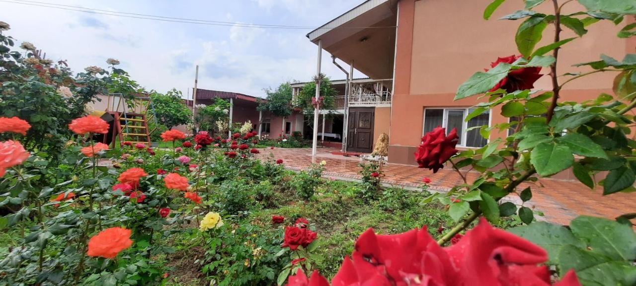 Vip Hostel Turkistan Exteriör bild